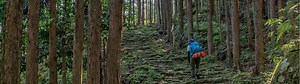 Japan Walking Trips | Japan's Best Hiking Trails | World Expeditions