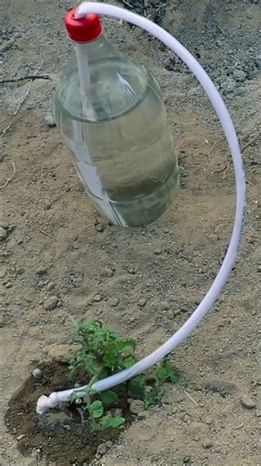 how to make home made drip irrigation system ♻️