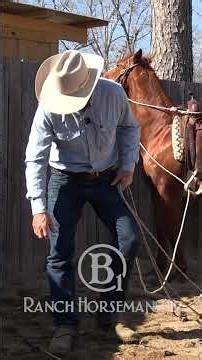 This is how to set up drive lines for a saddle horse