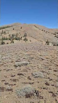 360° Markleeville Peak Ridge (twice)