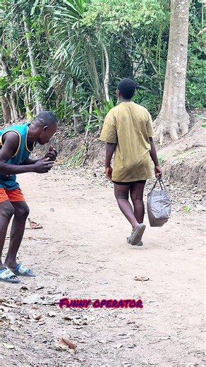 How Monkeys Catch Bananas: A Fun Exploration