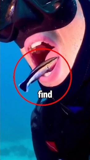 This Fish can Clean your Teeth