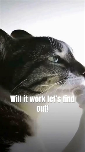 Will it work! PLZ I NEED VIEWS😔