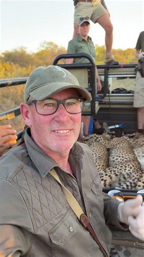 These 3 male cheetah are set to change the world - they have new locations to populate! 🐆🐆🐆