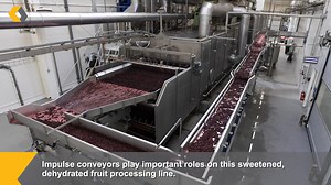 Key Technology - Fruit Processing with Impulse Vibratory Coneyors