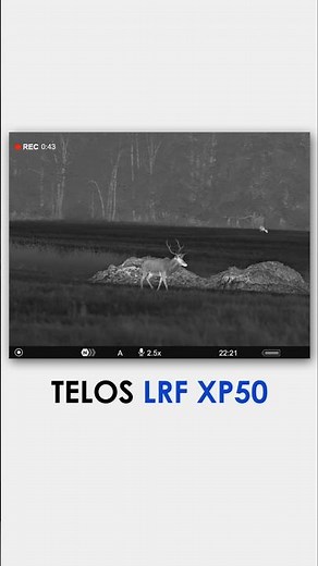 Stag captured strolling near the woods – all through the lens of Telos LRF XP50. #pulsarvision