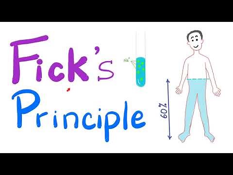 Fick's Principle for Body Fluid Compartments