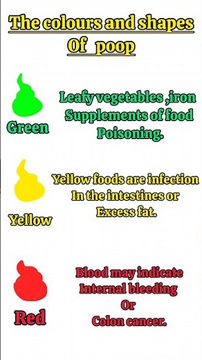 the colours and shapes of poop and what they mean # love to learn
