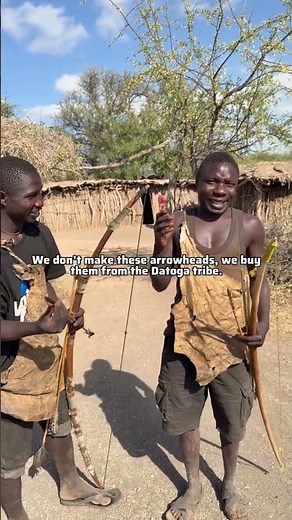 Hadzabe tribe bushmen show us where they get some of the supplies in their bush lifestyle