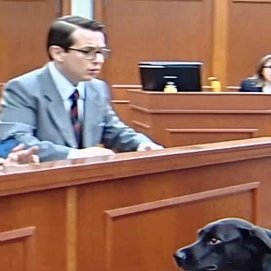 128K views · 361 reactions | "SHE GAVE HER DOG A SECRET SIGNAL — AND...