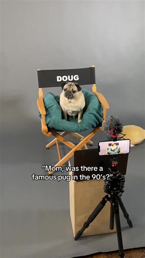 Celebrating Doug the Pug: A 90s Icon