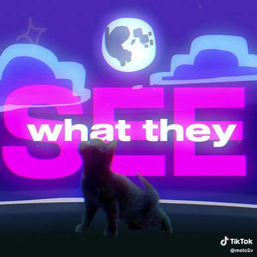 NOTION 💀🔥 - Cat Animation and Silly Dance Edits with Notion Song by The Rare Occasions