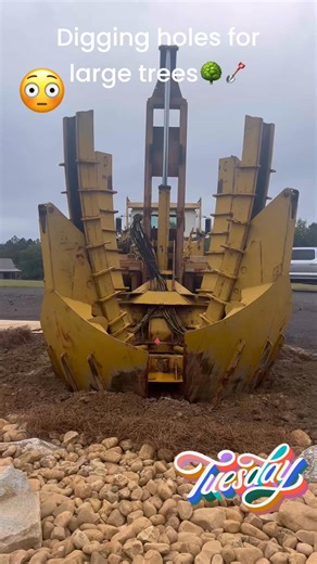 13 reactions | Digging holes for large trees. #arborequity #treeplanting #treespade | Arbor Equity | Facebook