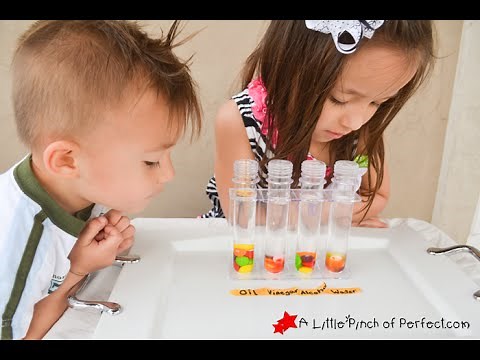 Candy Science Experiment for Kids: Testing Solubility with Skittles