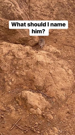 3.1K views · 19 comments |  Do you see? | Coed Comedy Team | Facebook