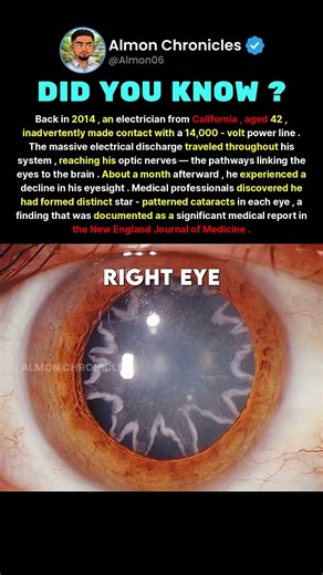 Back in 2014, an electrician from California, aged 42, inadvertently made contac...