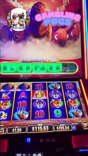 Buffalo Stampede Slot: HUGE Wins & Non-Stop Excitement!