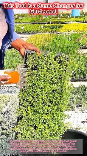 This Tool is a Game Changer for Gardeners! 🪴✂️ #shorts