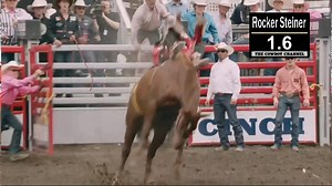 8.1K views · 124 reactions | On this edition of the Weekend Roundup presented by The Chute Bosses, we look back at the Cinch Playoffs at the Puyallup Rodeo. #WeArePRORODEO | PRCA ProRodeo | Facebook