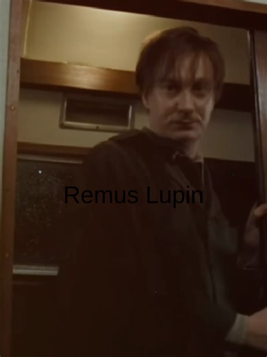 Harry Potter Edit Highlights and Fan Favorites