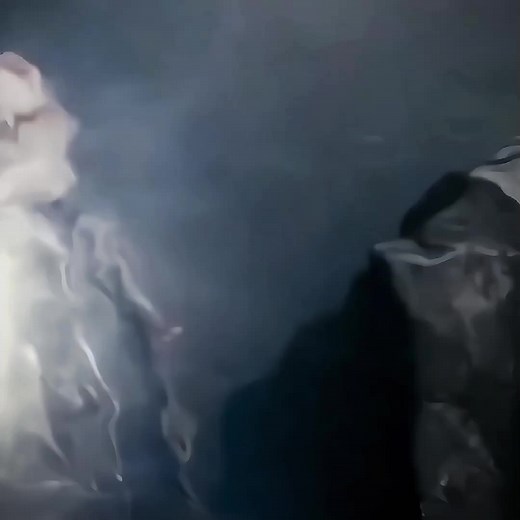 "Nice one, James" #siriusblack #harrypotter #jamespotter #harpotok #fy...