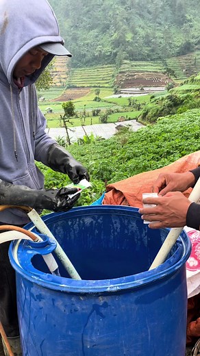 Balapan nyuntek nativo 😂. Aplikasi nativo pada tanaman kentang umur 50 hst ke atas #petugaslapang #fyp #nativo #petanimuda #petanimilenial #petanikentang #petanikentangdieng #petanikentangindonesia #petaniindonesia🇮🇩🇮🇩🇮🇩🌿🌿 #petanikeren