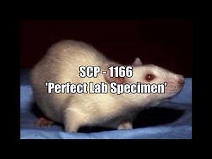 SCP - 1166 'Perfect Lab Specimen'