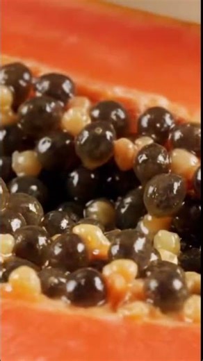 How Papaya Is Processed in a Modern Factory | Fruit Processing #howitsmade #farming #factoryprocess