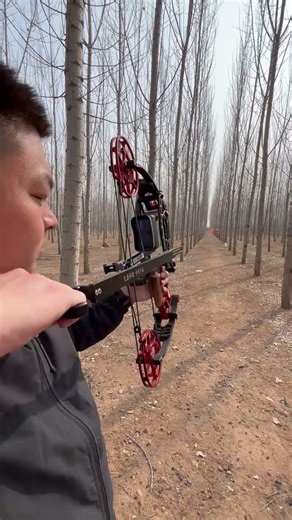 F20Dual-Mode Compound Bow 30m Accuracy Test｜Steel Balls #fyp #testing #archery #outdoors #sport