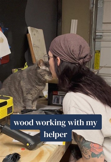 Navigating Woodworking Challenges with a Furry Helper