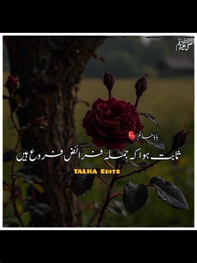 Ten Little-Known Facts About BMW's History