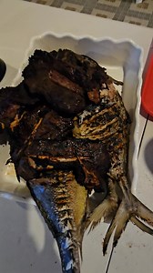 Fem Celedonio on Reels