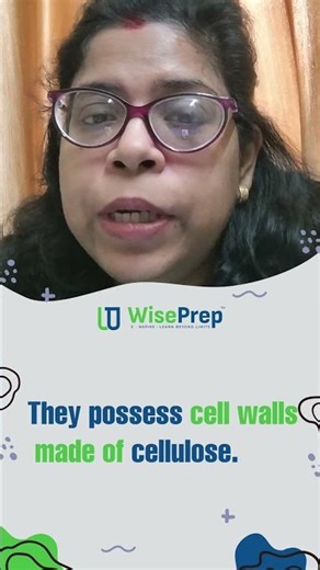 Kingdom Plantae Explained | Plant Kingdom | Biology Short | WisePrep