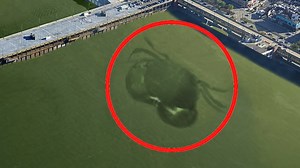 Abnormally Large Creatures Spotted On Google Earth #creatures #googleearth | Most Amazing Top 10