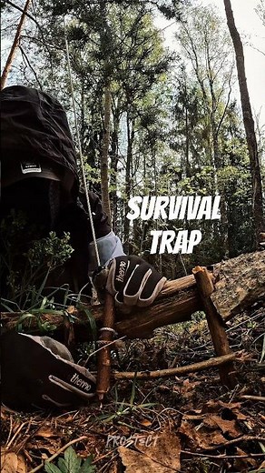 Survival Hunting Trap #survival #trap #bushcraft