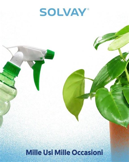 Bicarbonato Solvay® allontana i parassiti da fiori e piante!