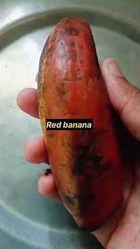 7 + month baby food recipes 💞 Red aval Red banana 🍌 puree