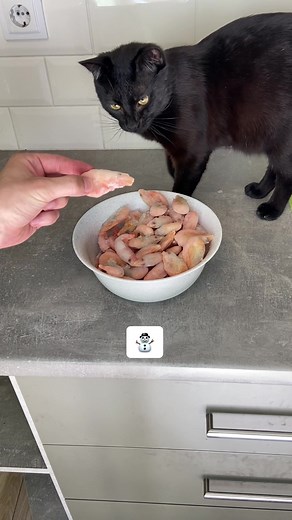 Food Preparation Steps for Seafood in the Kitchen