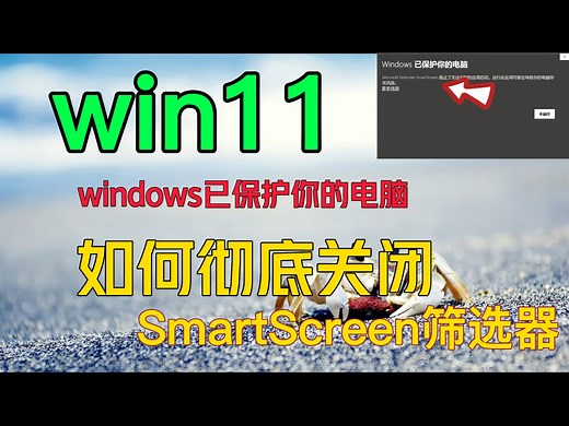 Win11如何彻底关闭SmartScreen筛选器