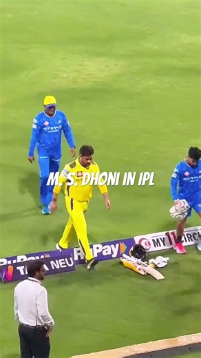 M. S. Dhoni in IPL Match | My Daily Momentz | #shorts #ytshorts #shortsfeed #msdhoni #viral #cricket