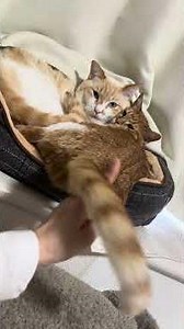 ラブラブすぎる