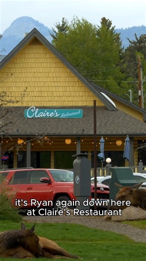 97 reactions · 14 shares | Partner Spotlight: Claire's Restaurant and...