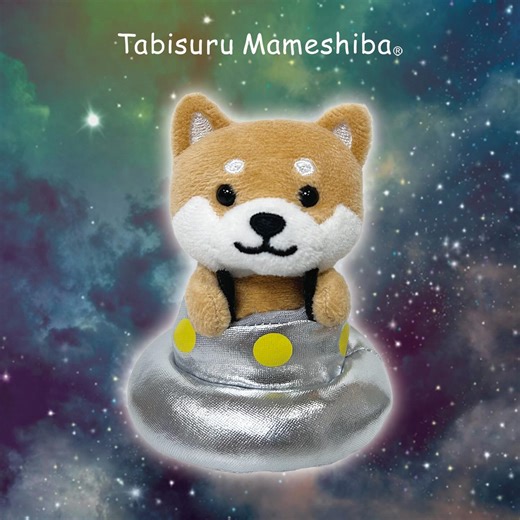 LamPlanning on Instagram: "⁡ ⁡ ✨NEW✨旅するマメしば🐾 🛸UFOバージョン ⁡ ついにUFOに乗ったワン！🛸 ⁡ くろまめもまめこもUFOに乗ったまめたを探しに あちらこちらへ走りまわってるよ🐕🐕 ⁡ 突然現れるから目撃情報をキャッチしたら ダッシュで会いに行くワン！🐾 ⁡ ⁡ ✨NEW✨Tabisuru Mameshiba🐾 ⁡ 🛸UFO version ⁡ Finally got on the UFO! 🛸 ⁡ Both Kuromame and Mameko went to find Mameta on the UFO ⁡ I'm running around here and there🐕🐕 ⁡ If you catch eyewitness information because it appears suddenly ⁡ One who goes to see you
