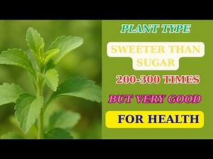 Discover the Secret of Stevia – 300 Times Sweeter Than Sugar but Super Healthy