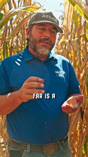 21K views · 177 reactions | Harvest is rolling strong in Kentucky  Neil Denton Farms put Pioneer® brand P13841 PowerCore® Enlist® corn to the test and the results speak for themselves: strong stalks, excellent stay green, and solid kernel depth. #PlantPioneer #Harvest25 | Pioneer Seeds | Facebook