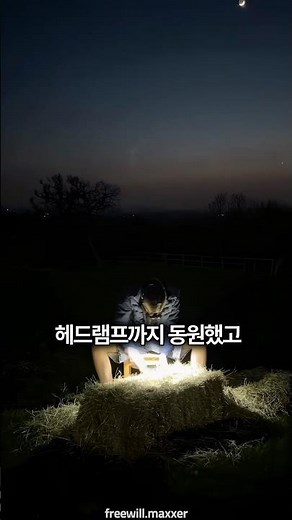 건초더미 속에서 바늘을 찾는 챌린지 🪡