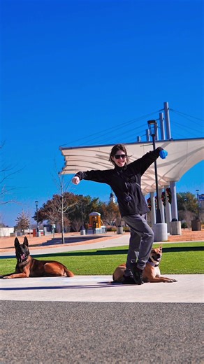 Having a train Dog has so many benefits! Better behavior & safety – A trained dog understands commands, boundaries, and expectations, which means fewer accidents, less reactivity, and safer interactions with people and other animals. \tStronger bond & communication – Training builds trust. Your dog learns how to work with you, and you learn how to read them better, which strengthens your relationship overall. \tMore freedom & less stress – Well-trained dogs can go more places, handle new environ