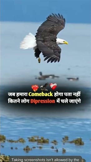 टूटेंगी_तलवारे🔥_टकराकर_तुमसे🎯💯_ #trending #shayari #attitudestauts #motivation #viral #dialough #yt