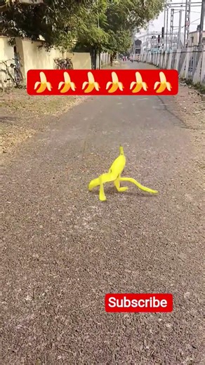 Funniest Snapchat moments ever! 🦉 Real snaps, real fun 😄! #Shorts#funnyanimals