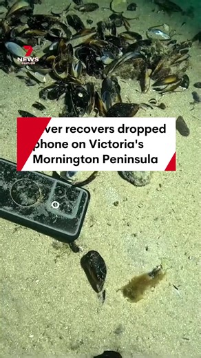 Scuba Diver Saves Lost Phone in Victoria